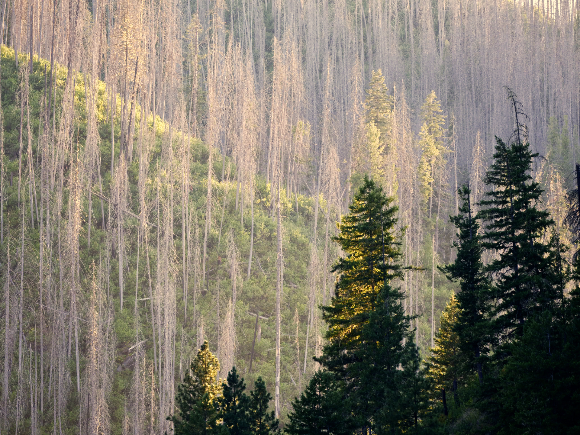 Selway River Pt 2