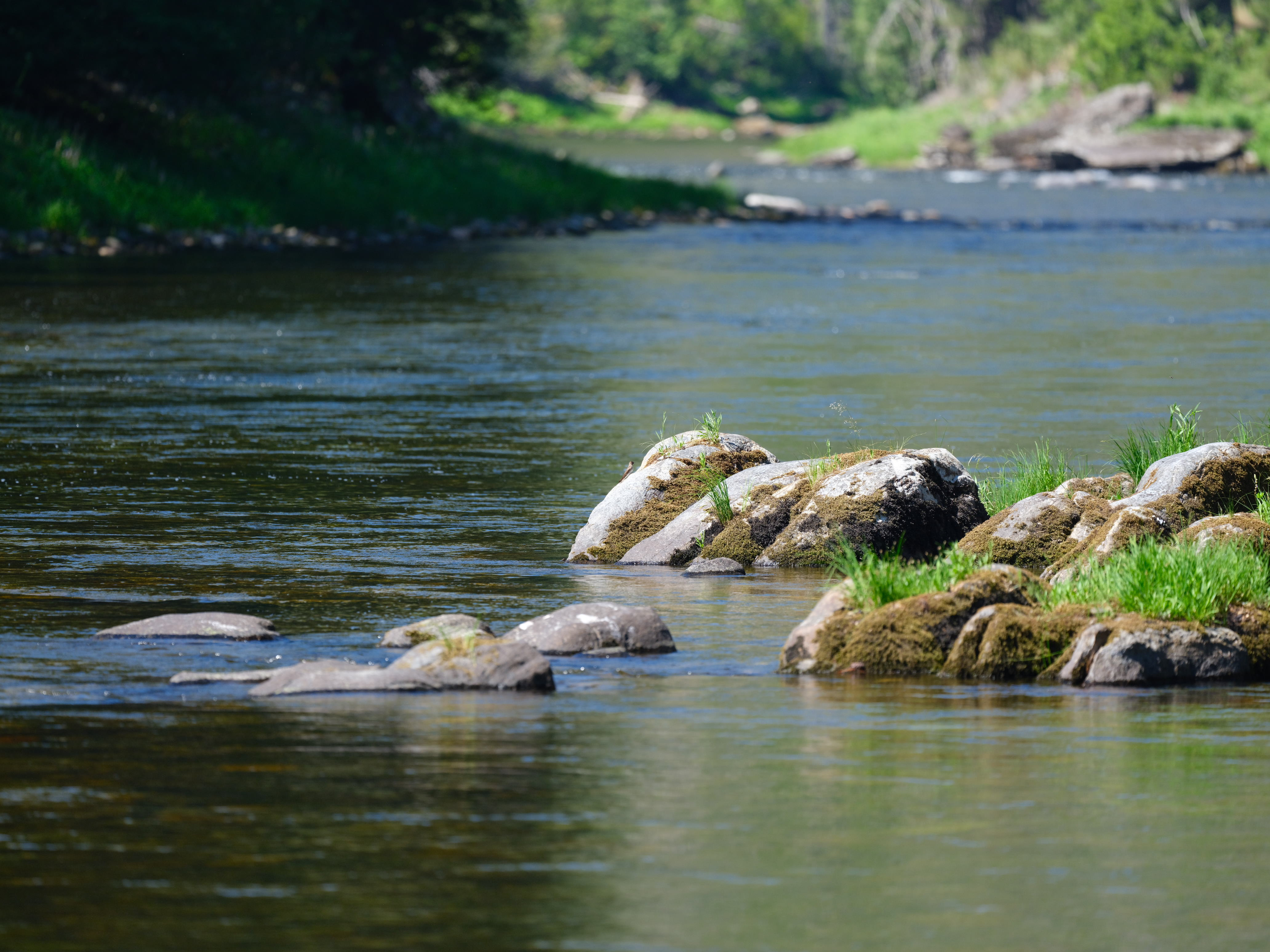 Selway River Pt 2