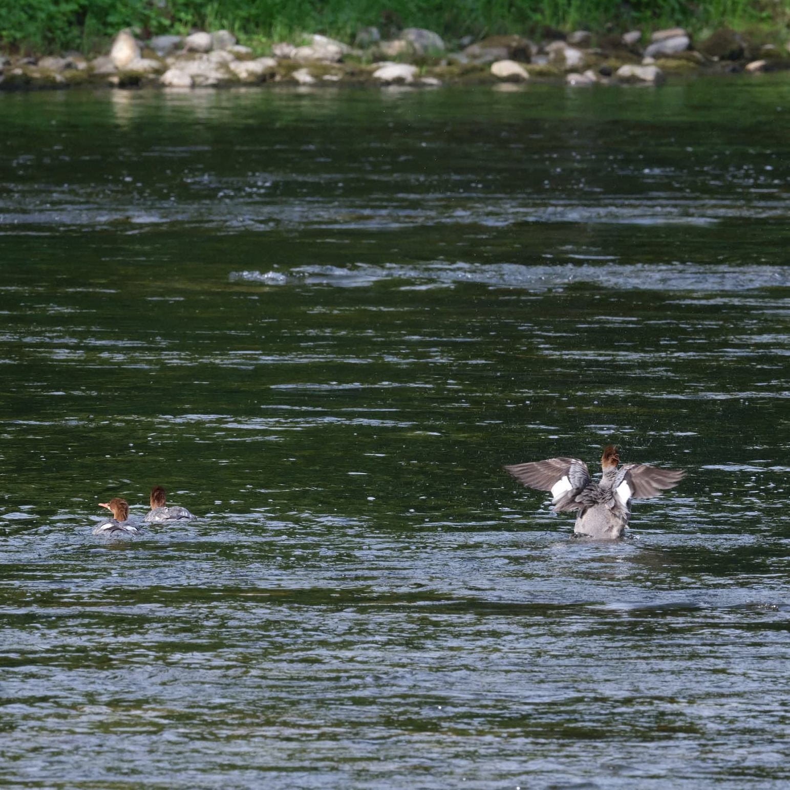 Selway River Pt 2
