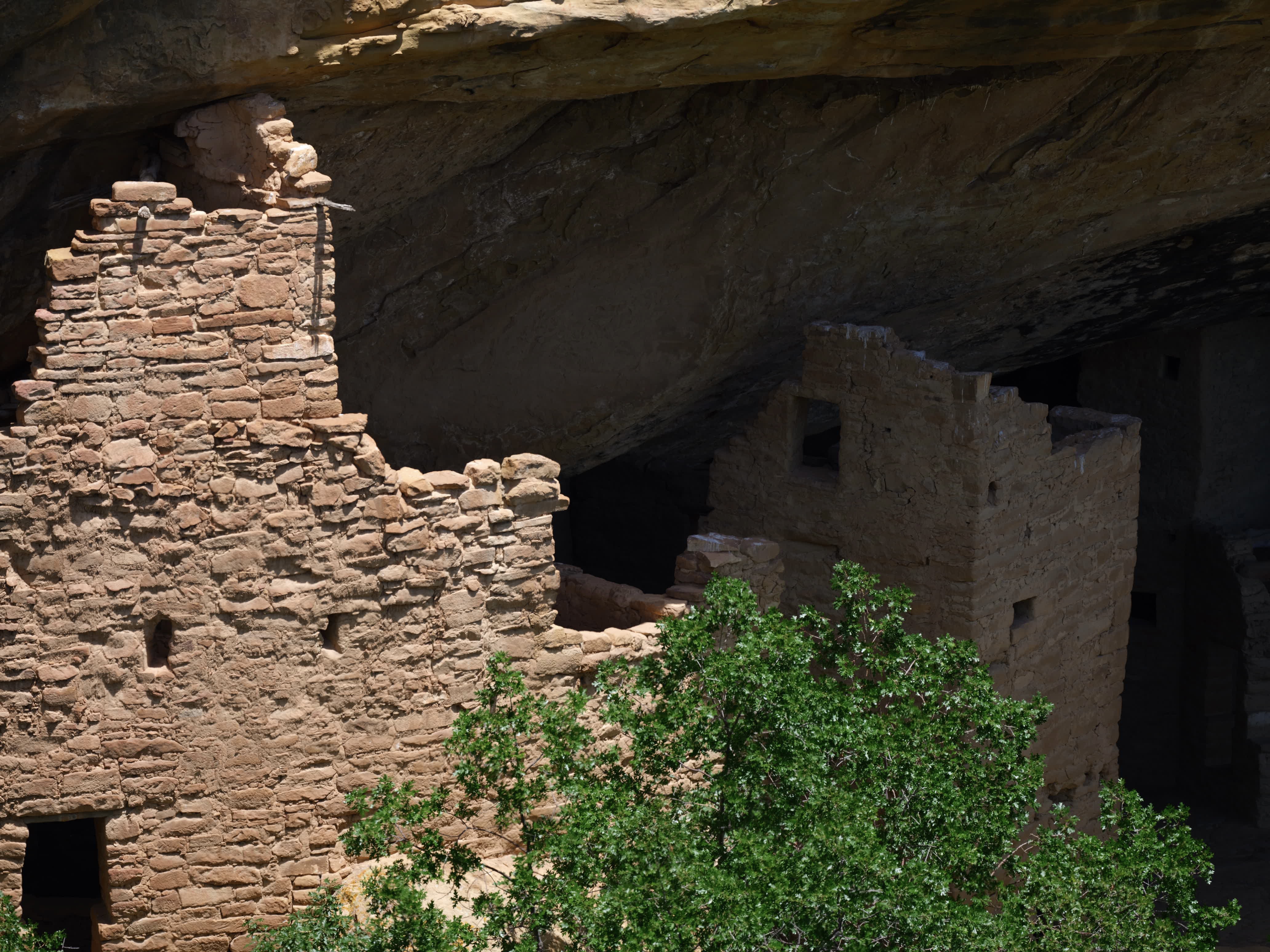 Mesa Verde