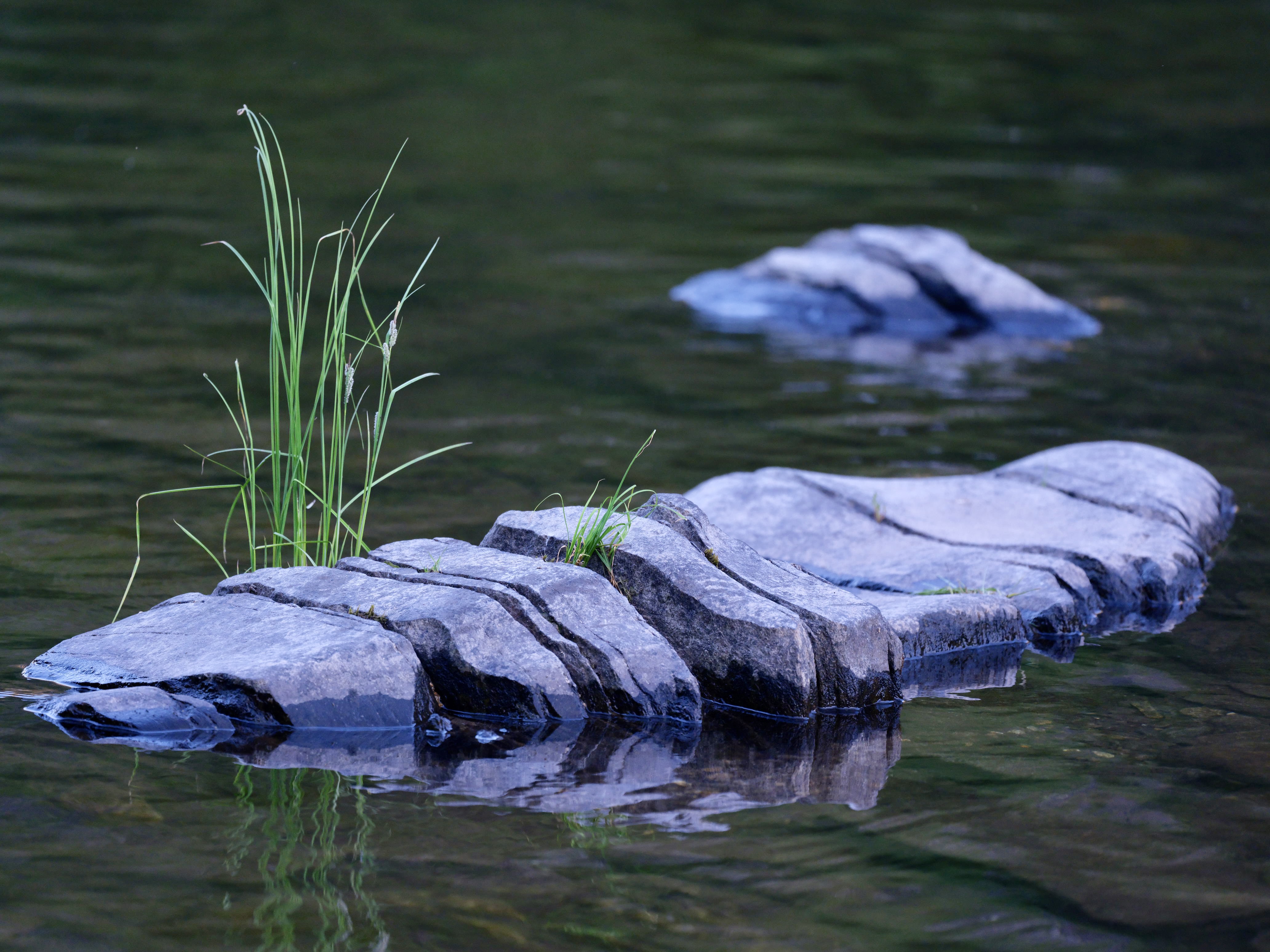 Selway River