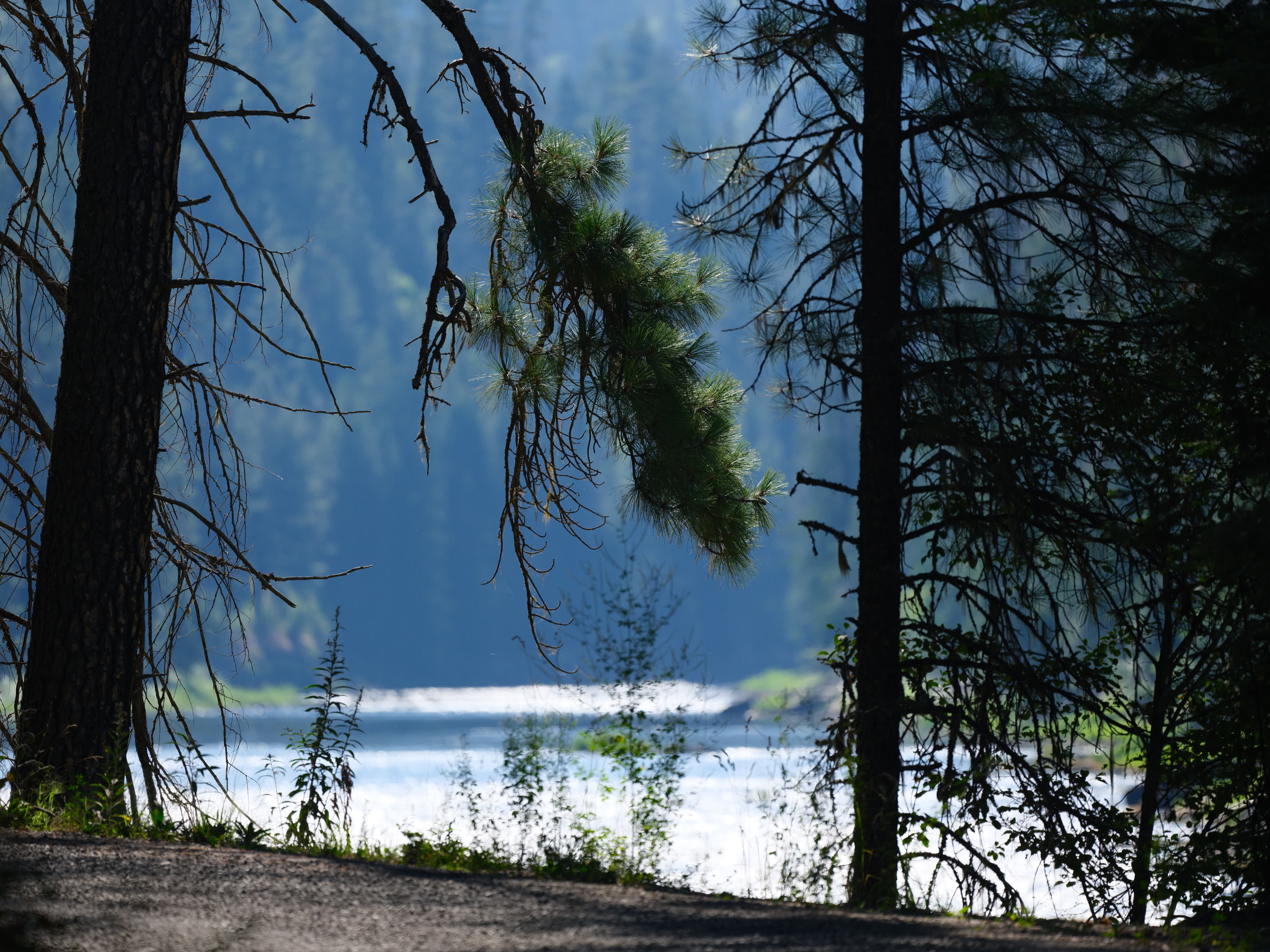 Selway River