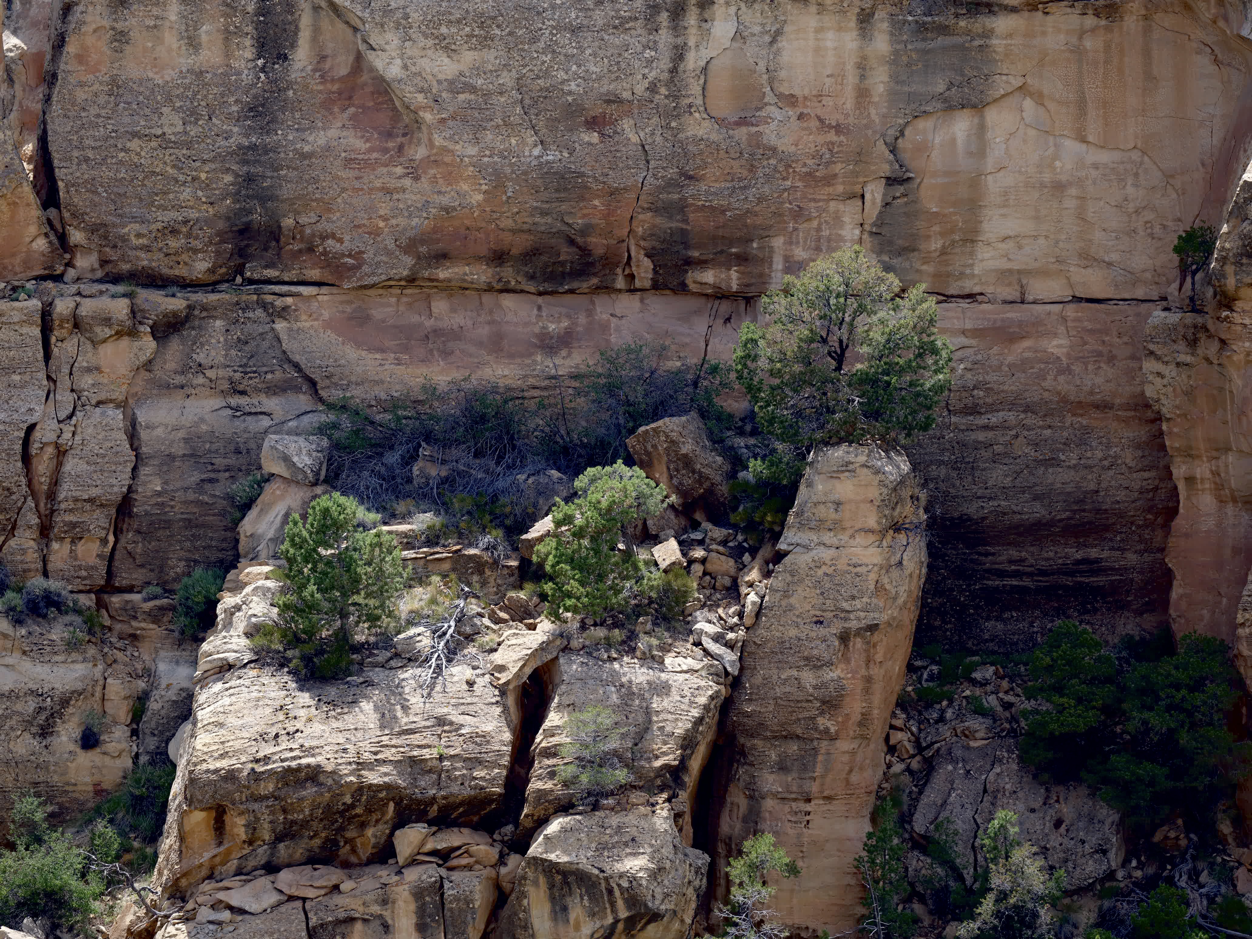 Mesa Verde