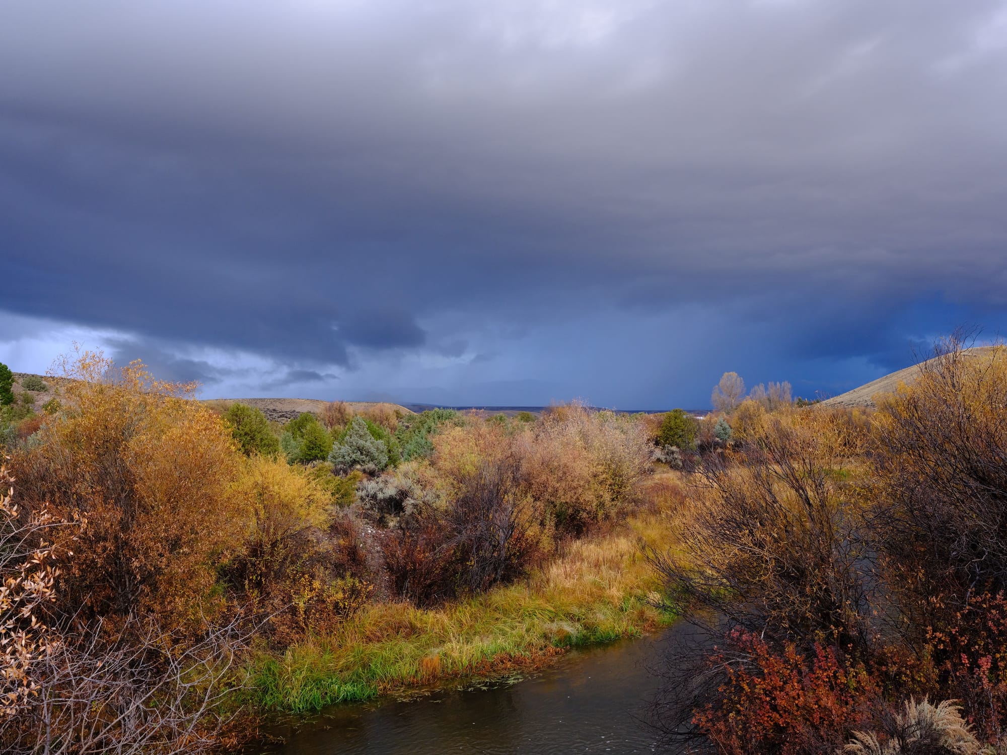 Bannack and Elk