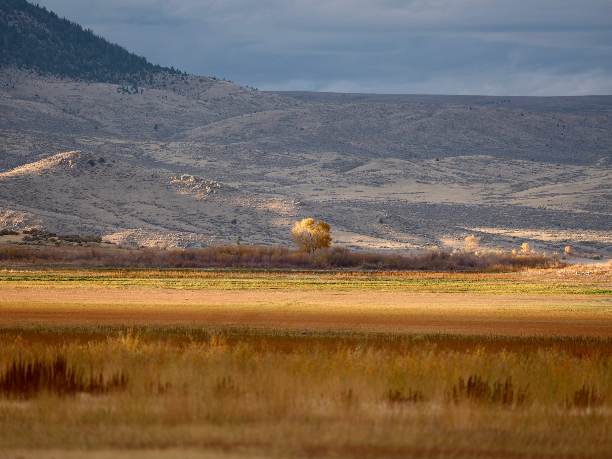 October's First Campsite