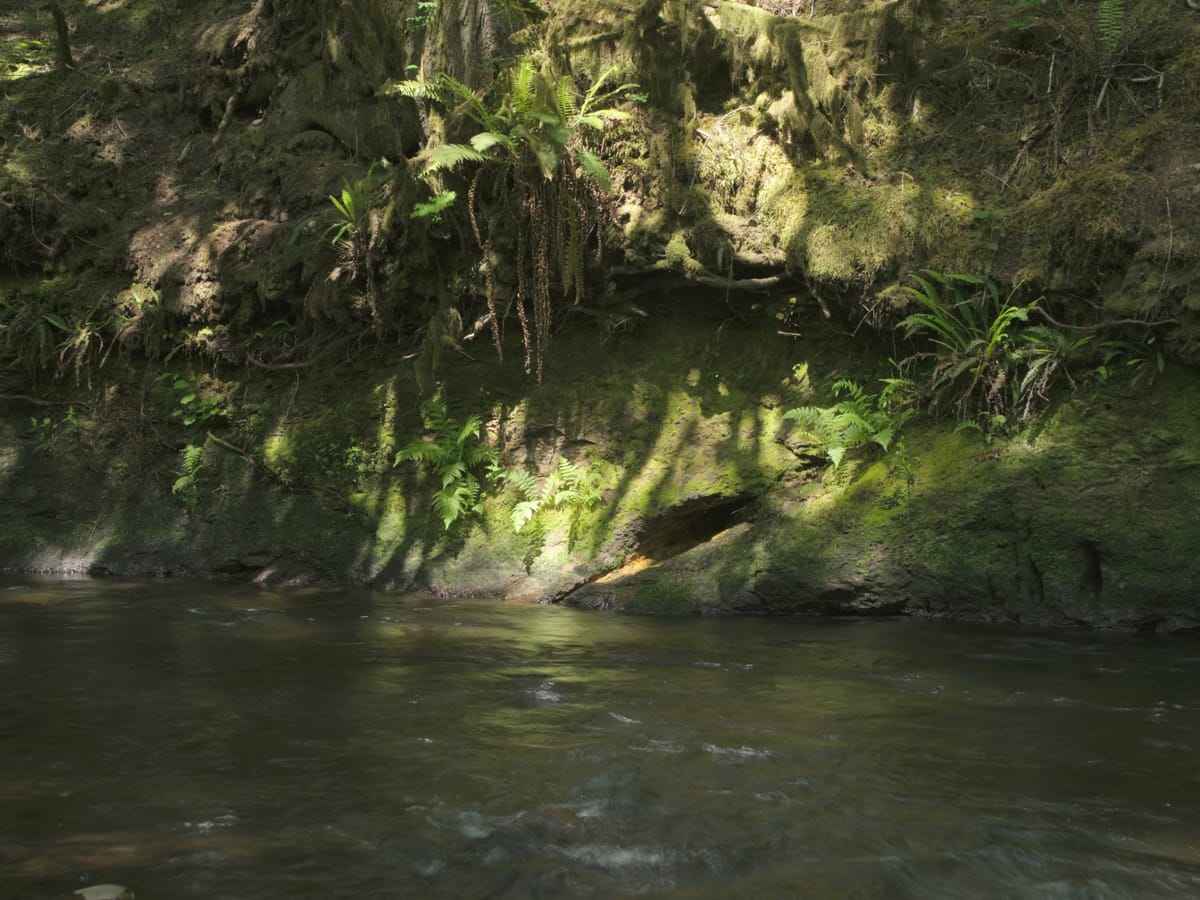 Gnat Creek Oregon