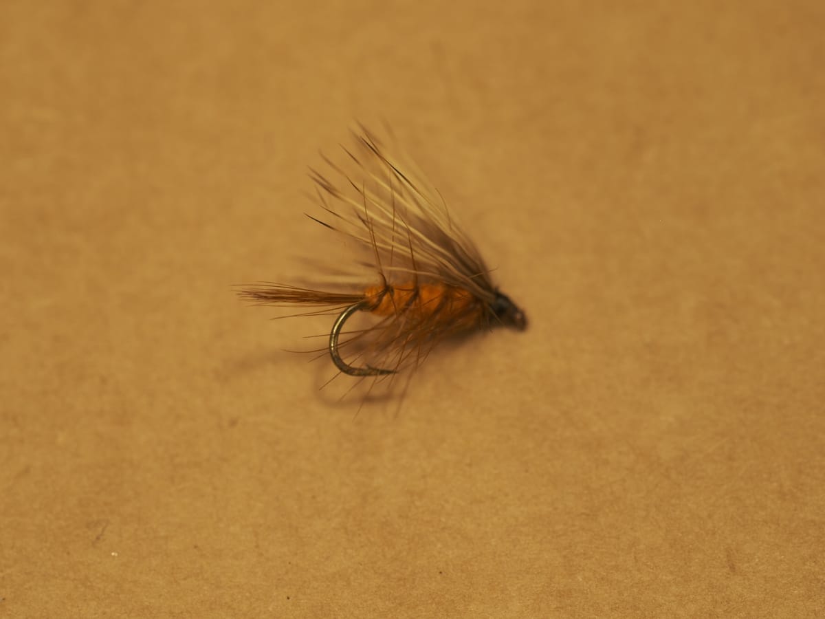 Macro on Fuji GFX with Mamiya 120mm f4 Macro Lens