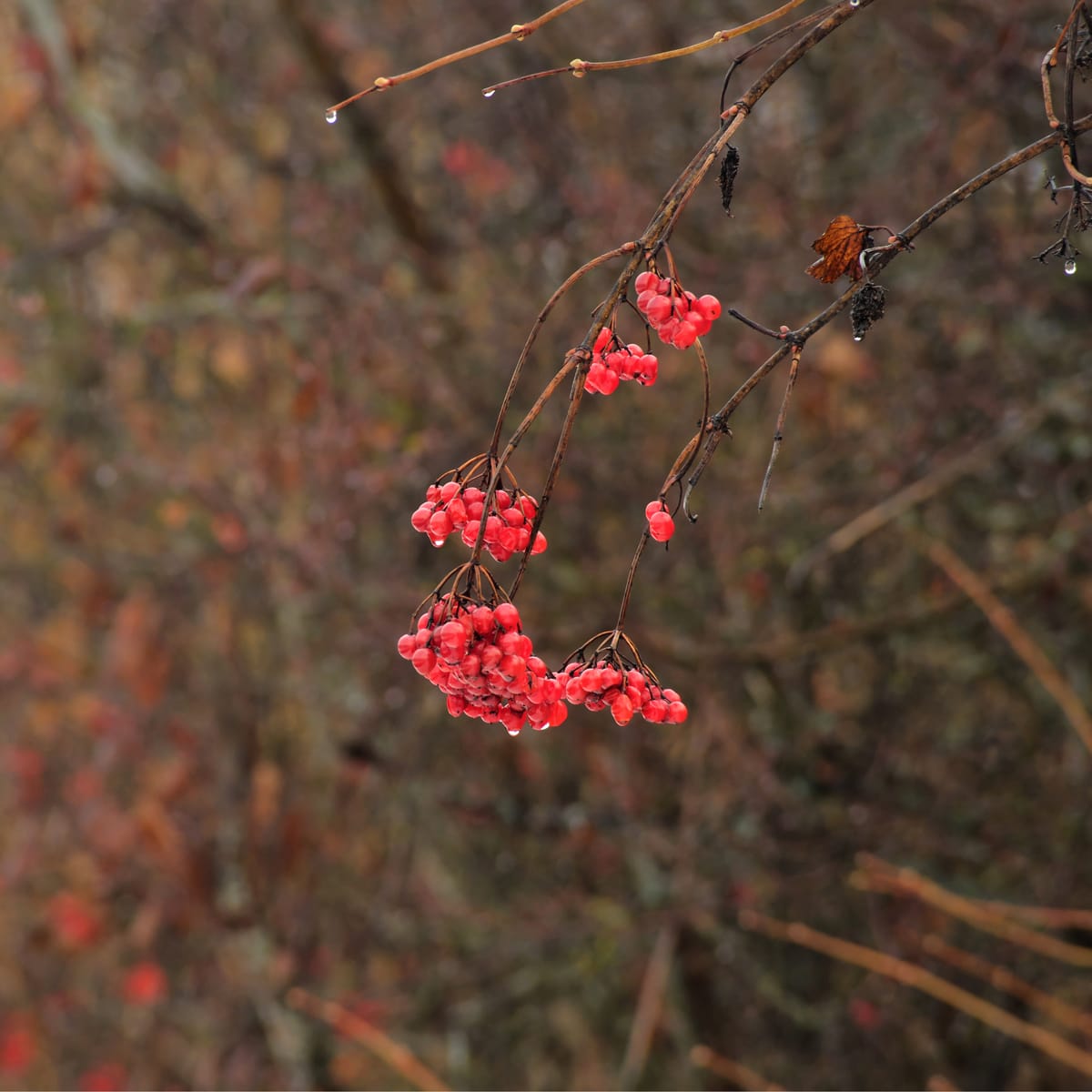 Approaches to Photography