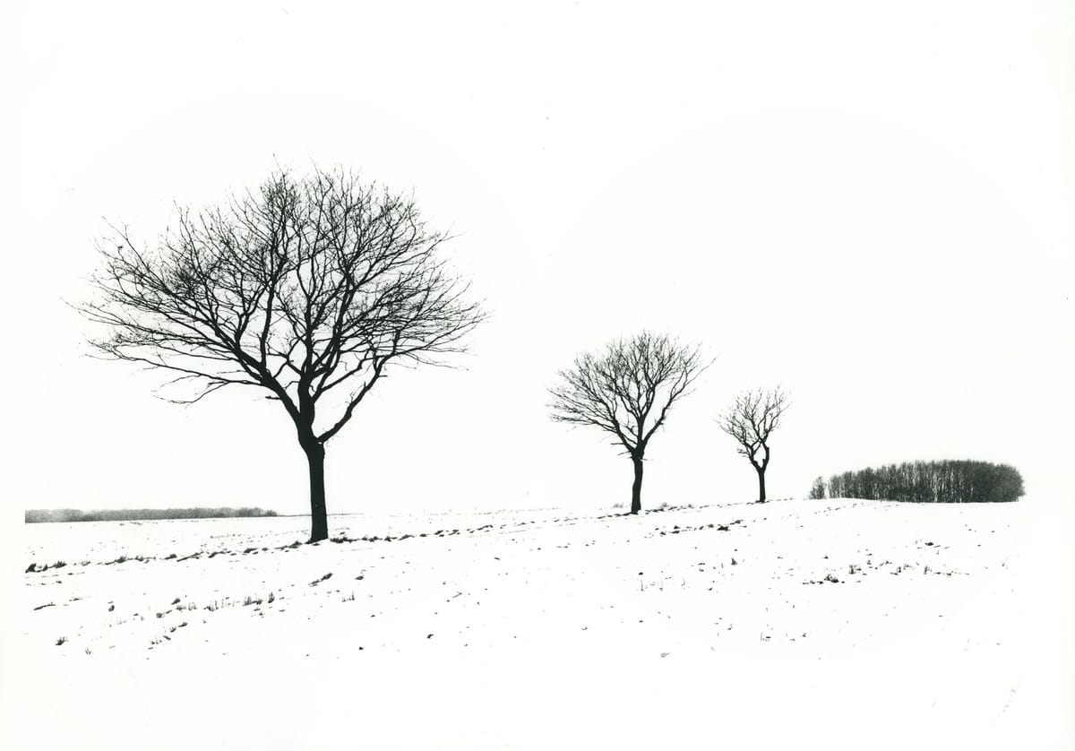 Experiences of the Sublime
