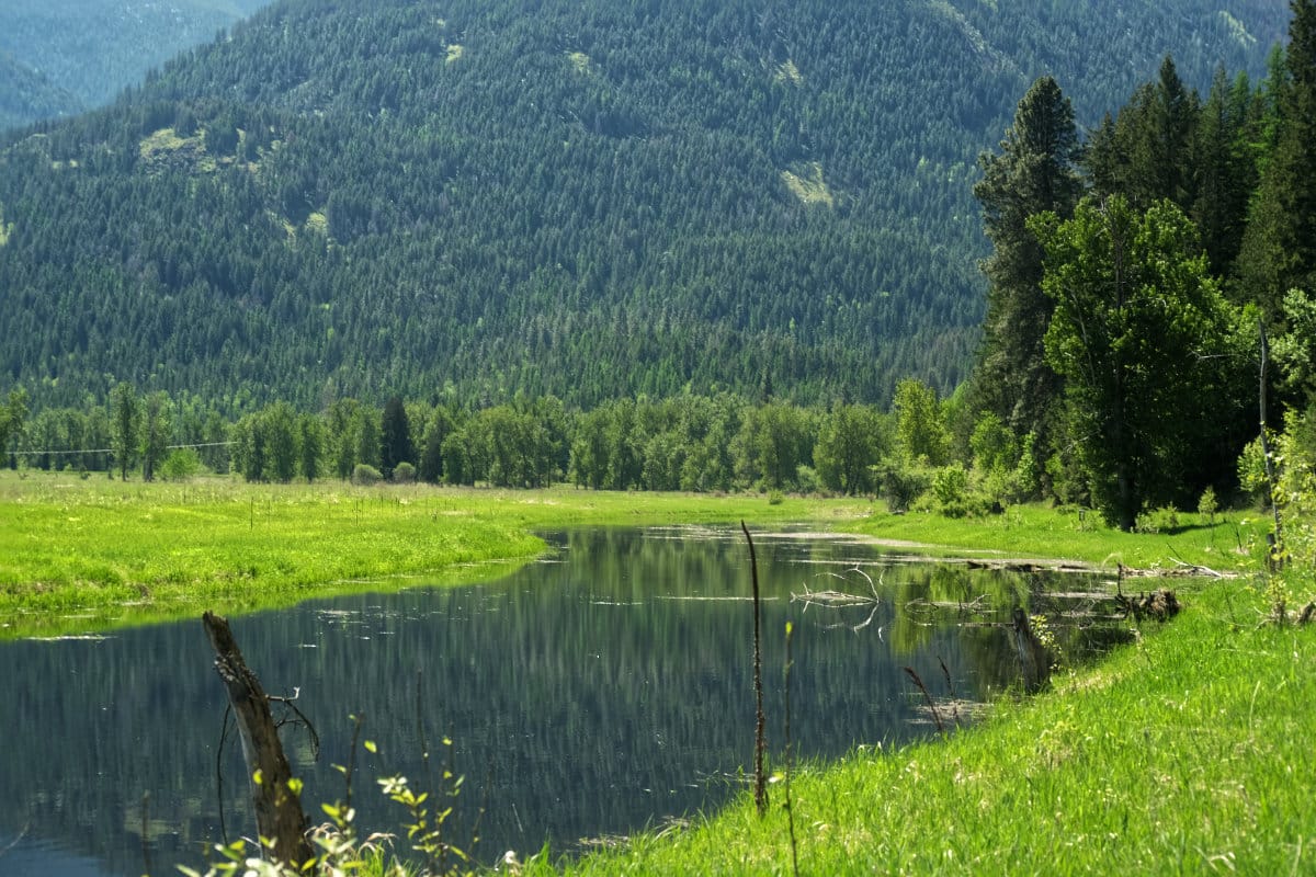 Smith Creek