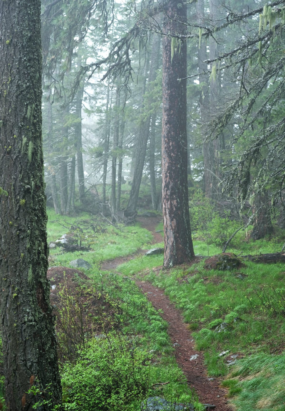Mickinnick Trail