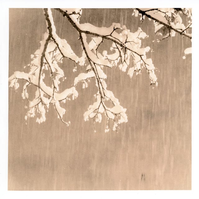 Lith Printing Nerga Portrene