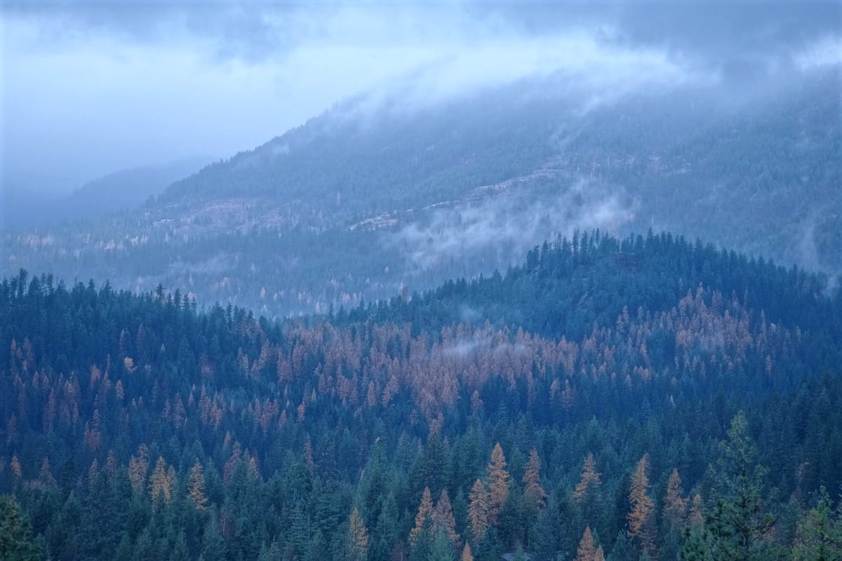 Return to Rainy Idaho