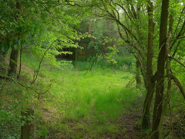 A Film Approach to the Fuji GFX50s ii: Part 1