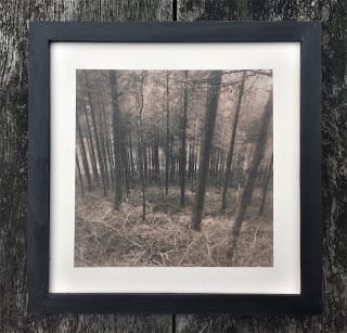 Framing Some Prints: A Good Day