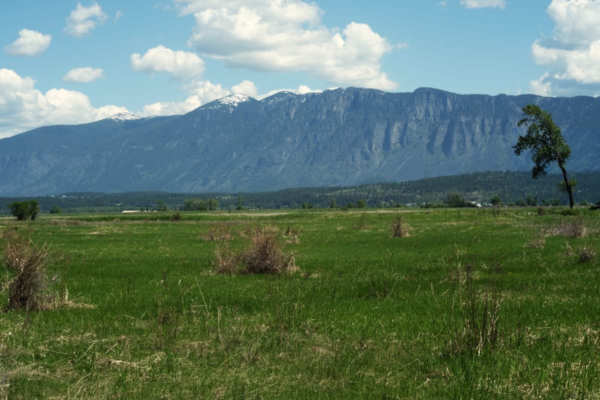 Smith Creek Thoughts