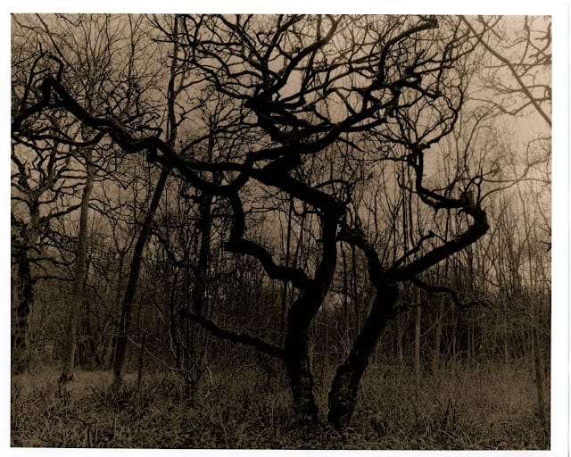 2023 First Darkroom Work (Part 1)