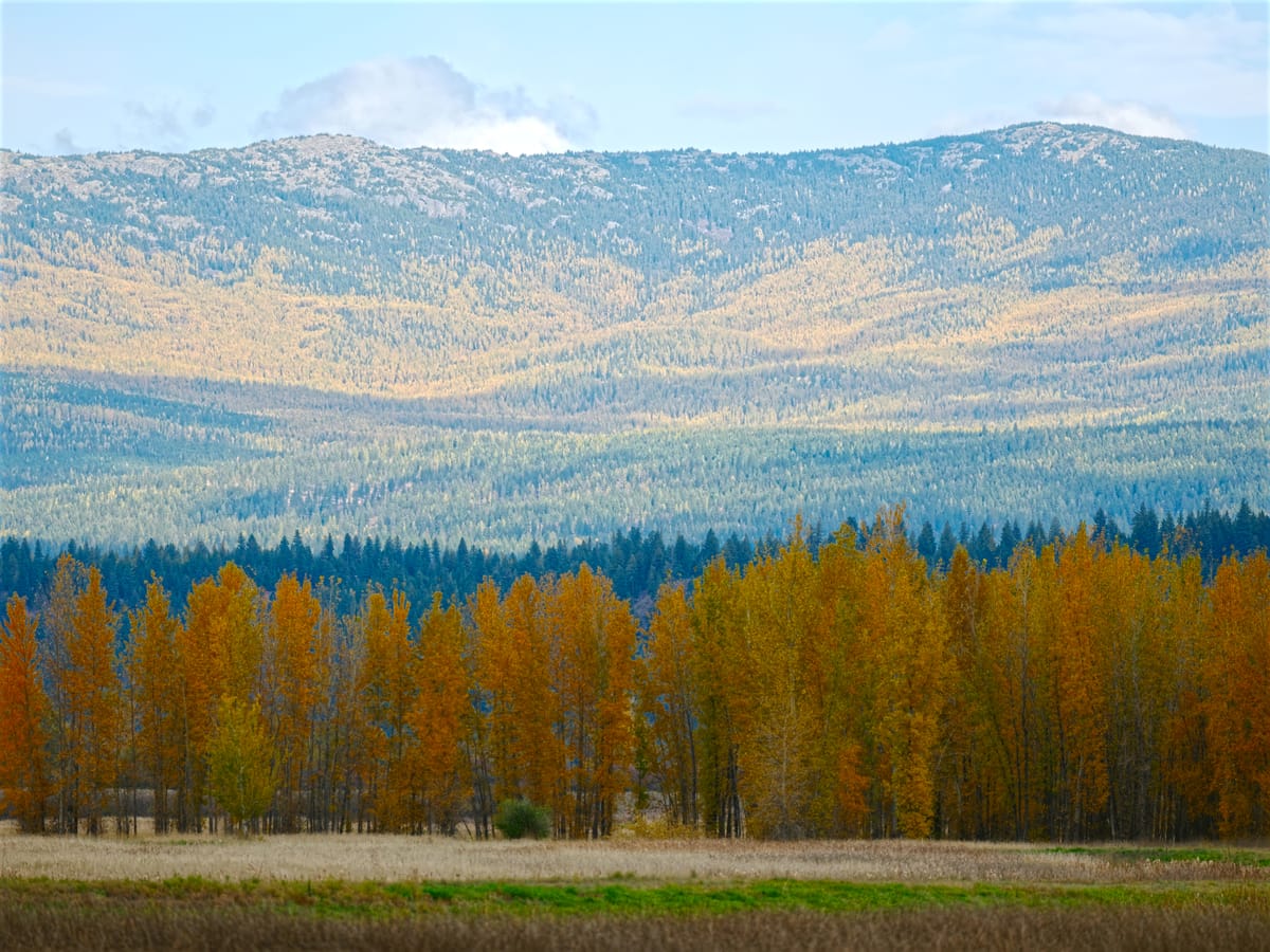 Falling for the Kootenai