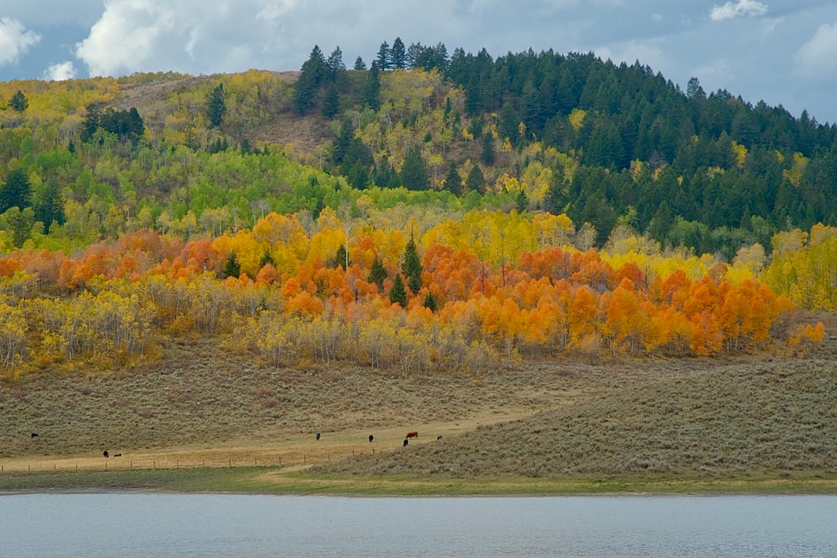 Conversation with Rod