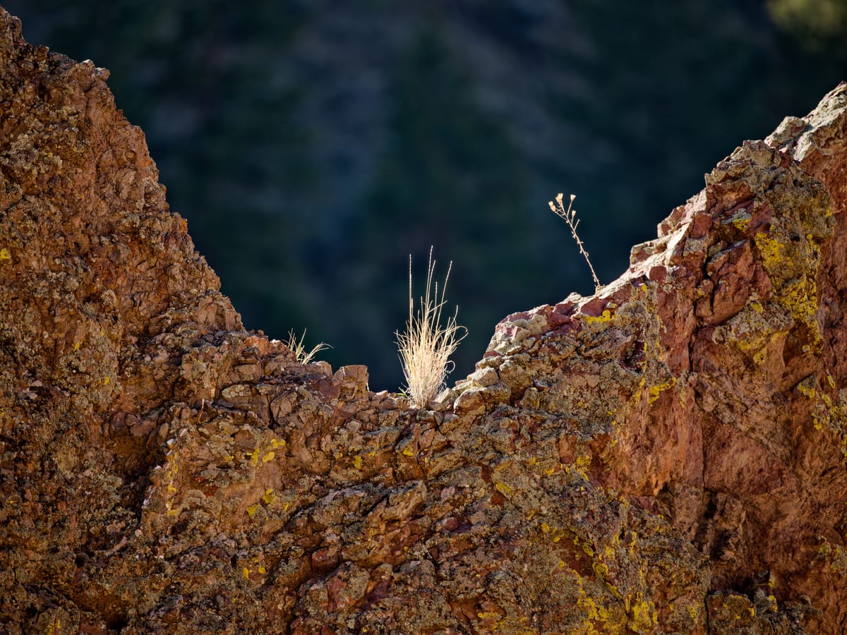 The Long Lens Vision