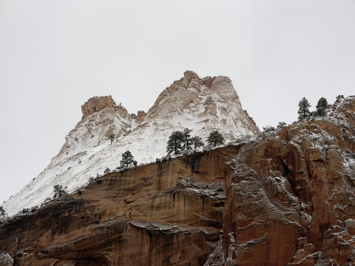 Zion Last Winter