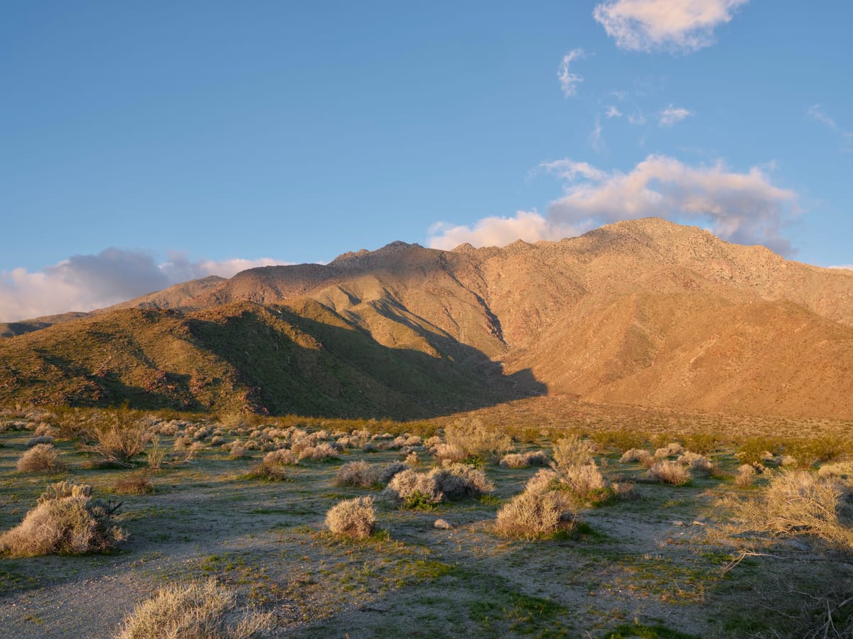 Anza-Borrego Desert