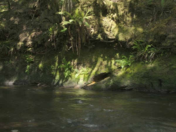 Gnat Creek Oregon