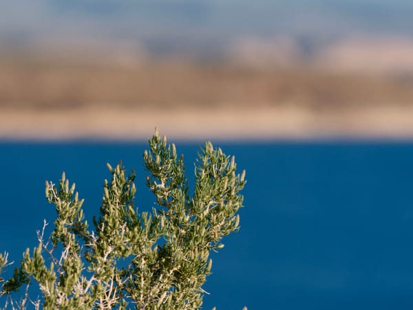 Flaming Gorge
