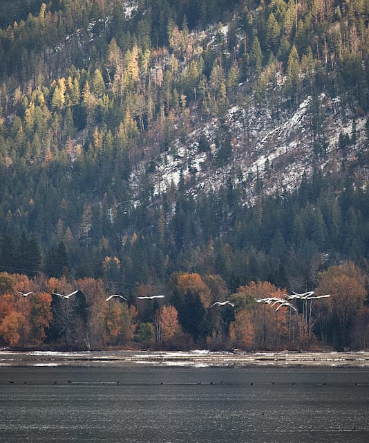 Early Winter on Lake Pend Oreille (Digital)
