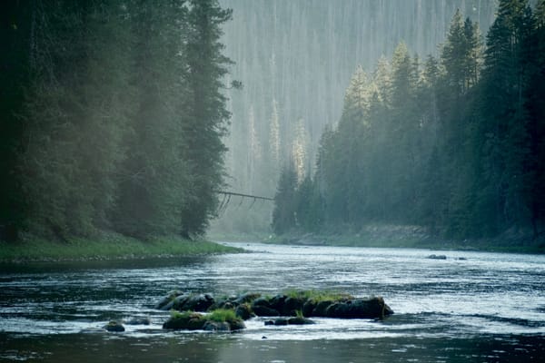 Selway River