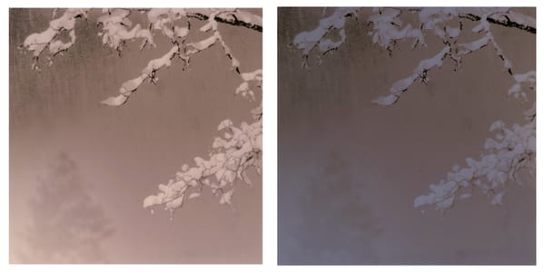 Ephemeral Prints: Part 2