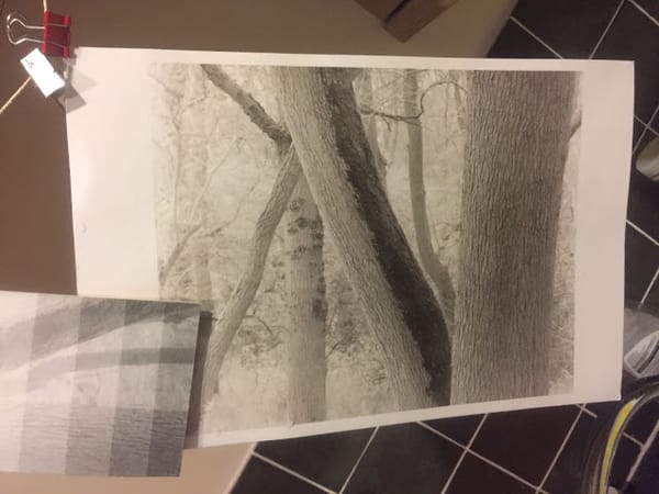 Sepia (Sulfur/Sulphur) Toning Experiments (or what to do with old test prints)