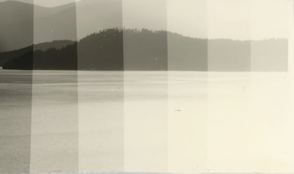 Film from Digital Prints: Fomatone Warmtone Paper