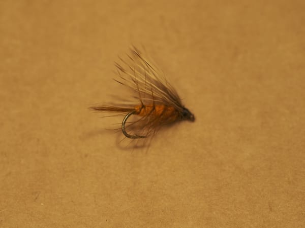 Macro on Fuji GFX with Mamiya 120mm f4 Macro Lens