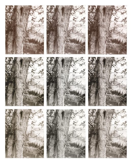 Invention Continued: More Physical Split Printing and Toning