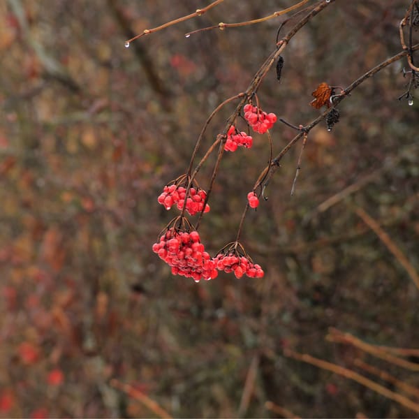 Approaches to Photography