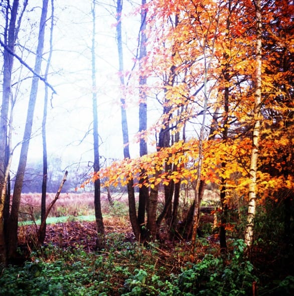Film Types and the Zone System: Slide Film