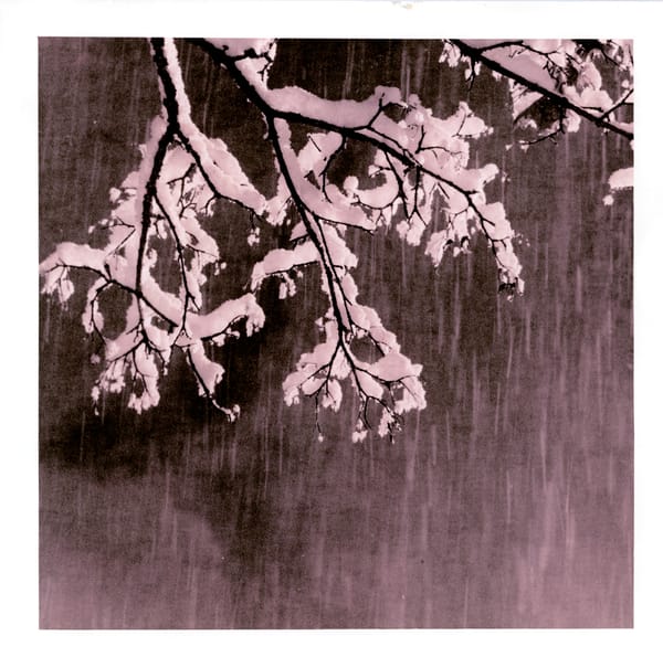 Ephemeral Prints: Part 1