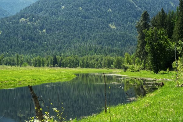 Smith Creek