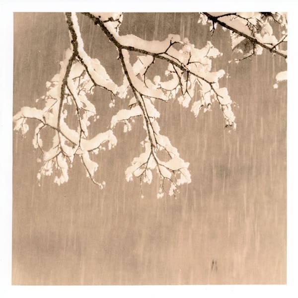 Lith Printing Nerga Portrene