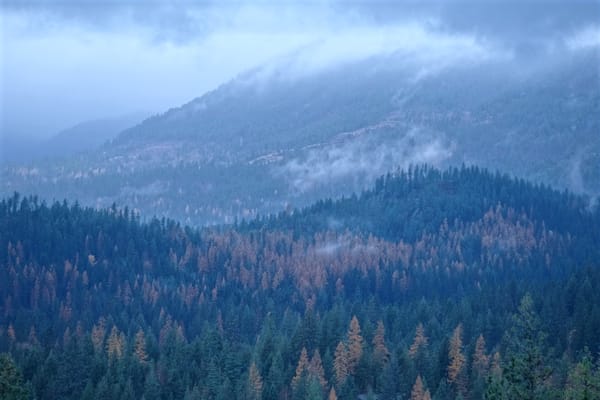 Return to Rainy Idaho