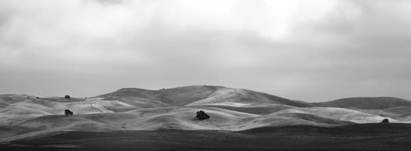 In the Coastal Mountains of Central California Lives....