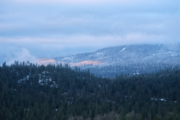 The Sun Breaks Through This Morning
