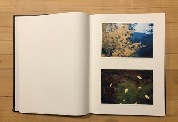 Small Print Album Project