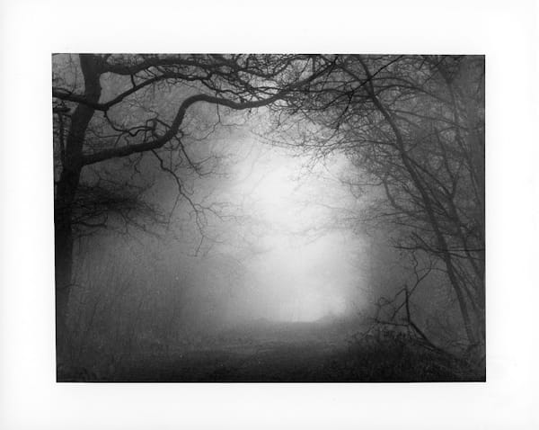 Printing Low Contrast Negatives