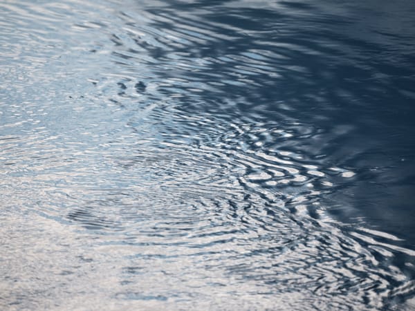 Abstracts on the Lower Pack River