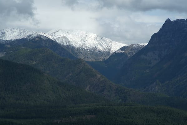 Ross Cedar Grove Montana