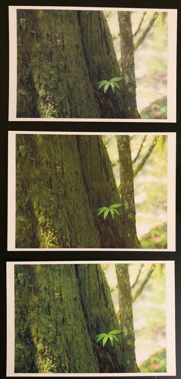 Small Prints