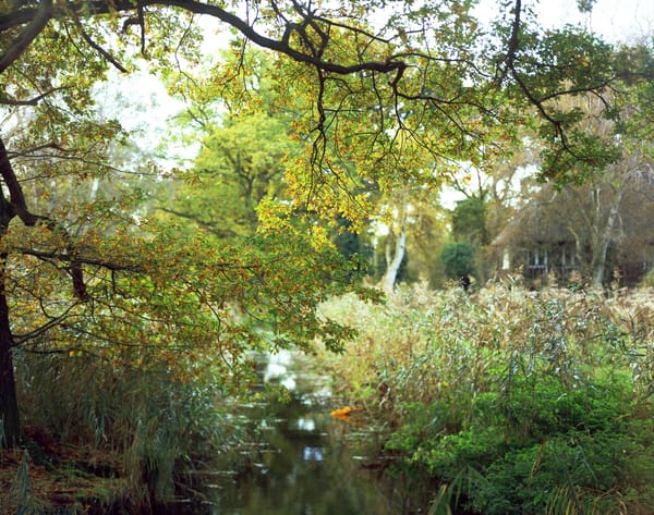 Intimate Landscape