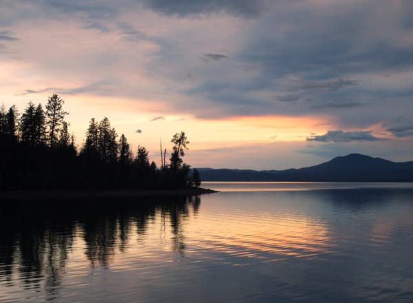 The Whales of Pend d'Oreille
